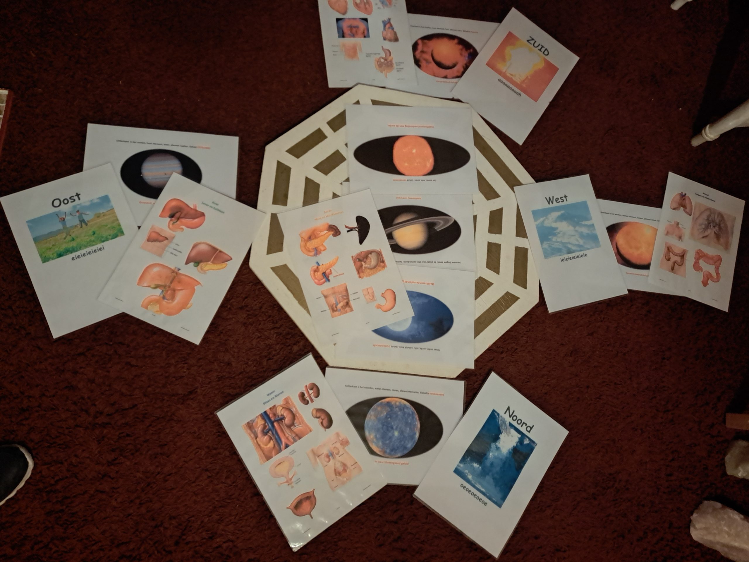 Healing TAO 5 elementen